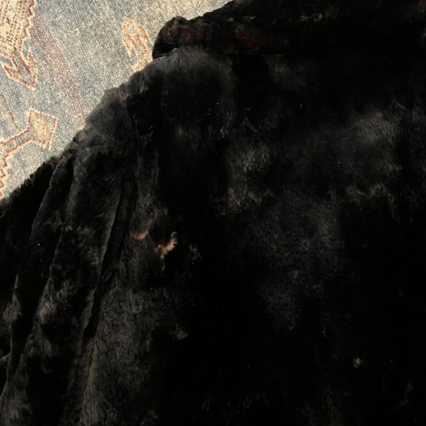 Vintage Black Fur Coat